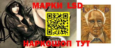 МДПВ Дубна