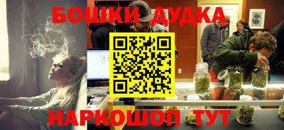 МДПВ Дубна