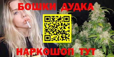 МДПВ Дубна