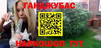 МДПВ Дубна