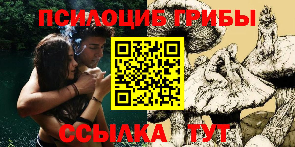 Псилоцибиновые грибы Psilocybine cubensis Нижнеудинск