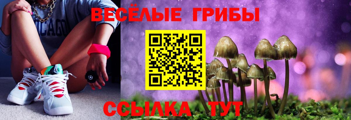 Галлюциногенные грибы Magic Shrooms  Галлюциногенные грибы прущие грибы  Вход с VPN  Нижнеудинск 